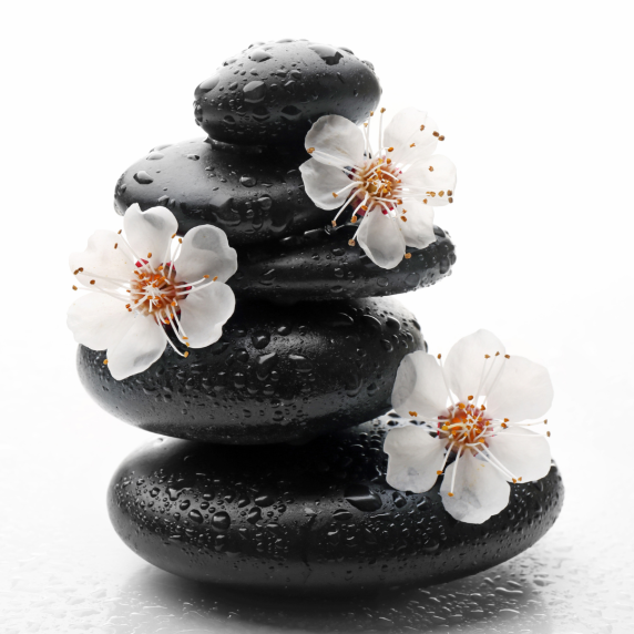 Untitled design - 2023-12-13T110703.185